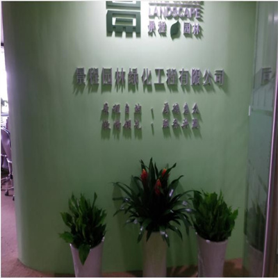前台绿化效果