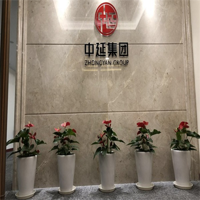 前台绿化效果